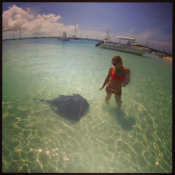 Gopro Photograph - My Pet Sting Ray- I Named Him Barb by Marisa Fiore