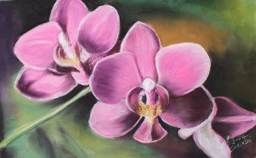 My Pink Orchid Pastel by Melinda Saminski