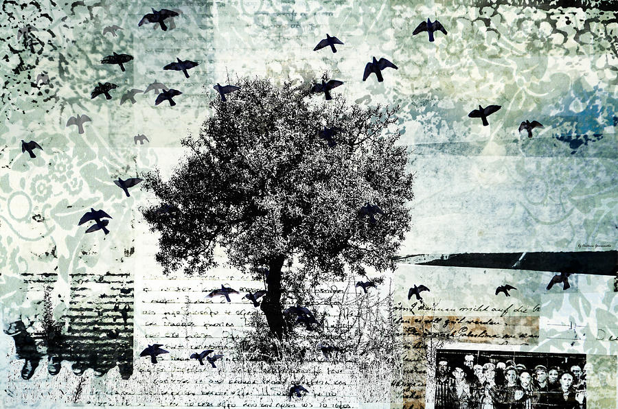 Bird Photograph - My Roots by Antonis Gourountis