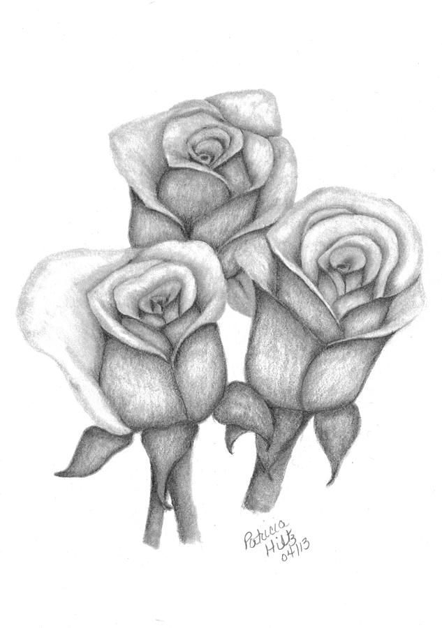My Roses 3 Drawing by Patricia Hiltz