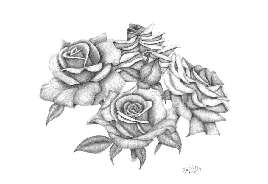 My Roses Drawing by Patricia Hiltz