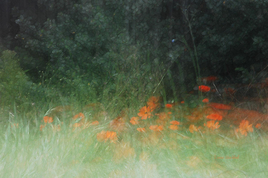 Flower Photograph - My Secret Garden by Donna Blackhall