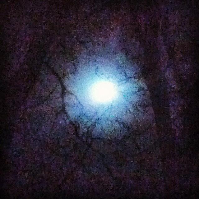 My Shot Of The Full Moon Tonight Photograph by Genevieve Esson