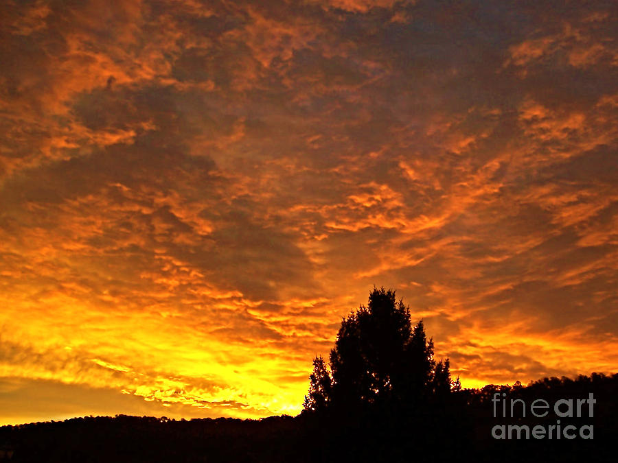 Sunrise Photograph - My Sky by Maureen Tillman