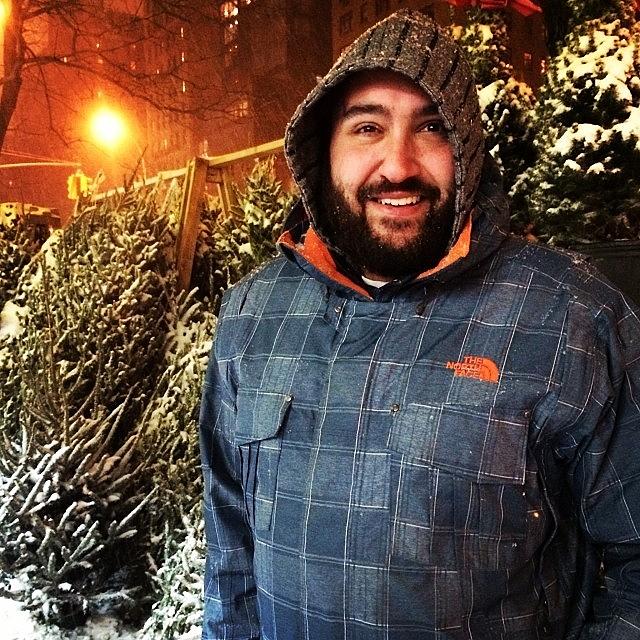 My Snow-covered Jew Bear!💕 Photograph by Allison Clayton