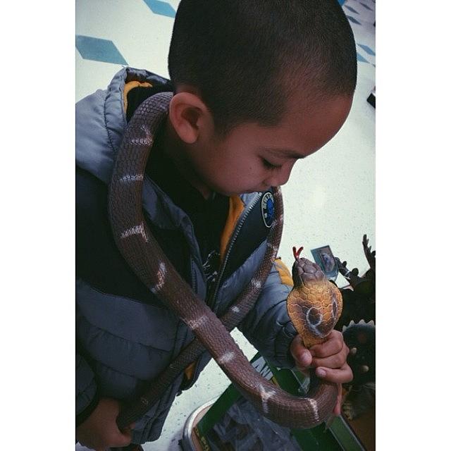 Cobra Photograph - My #son Is Soo #brave Face To Face W/ A by Zyrus Zarate