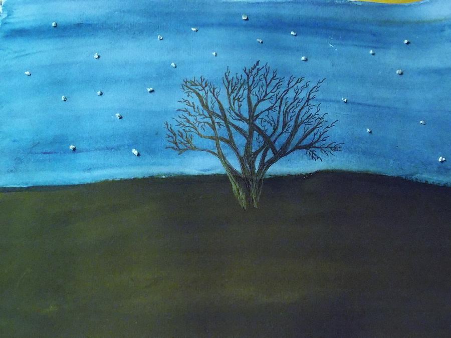 Tree Photograph - My Starry Sky by Deborah Moen