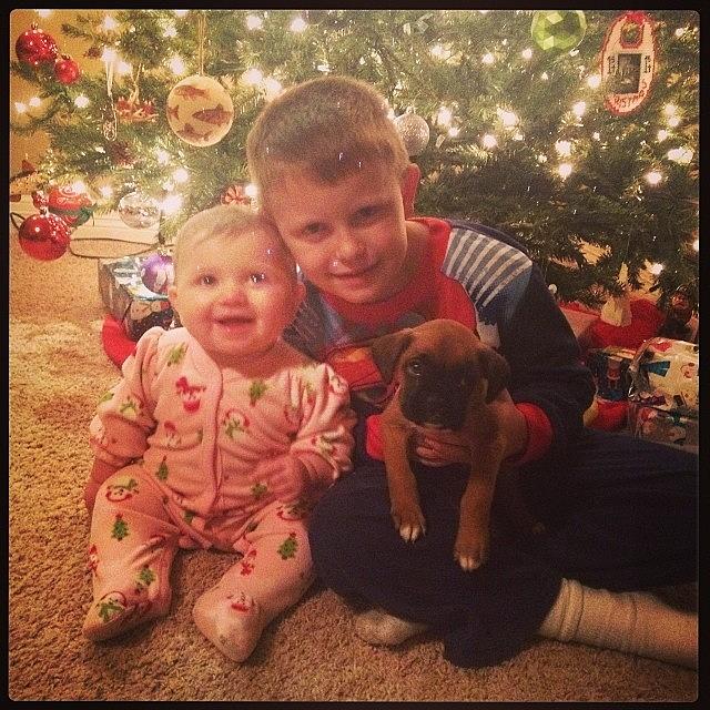 My Sweet Babies And The New Puppy! Photograph by Brandy Grant