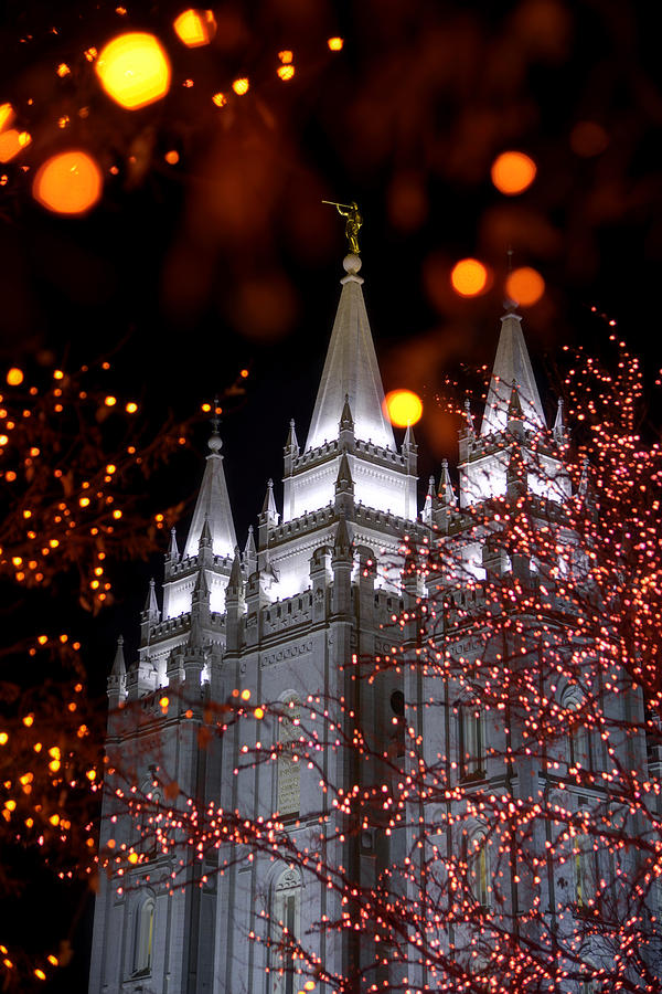 Salt Lake City Photograph - My Take by Chad Dutson