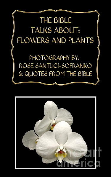 My The Bible Talks about Flowers and Plants Book Photograph by Rose Santuci-Sofranko