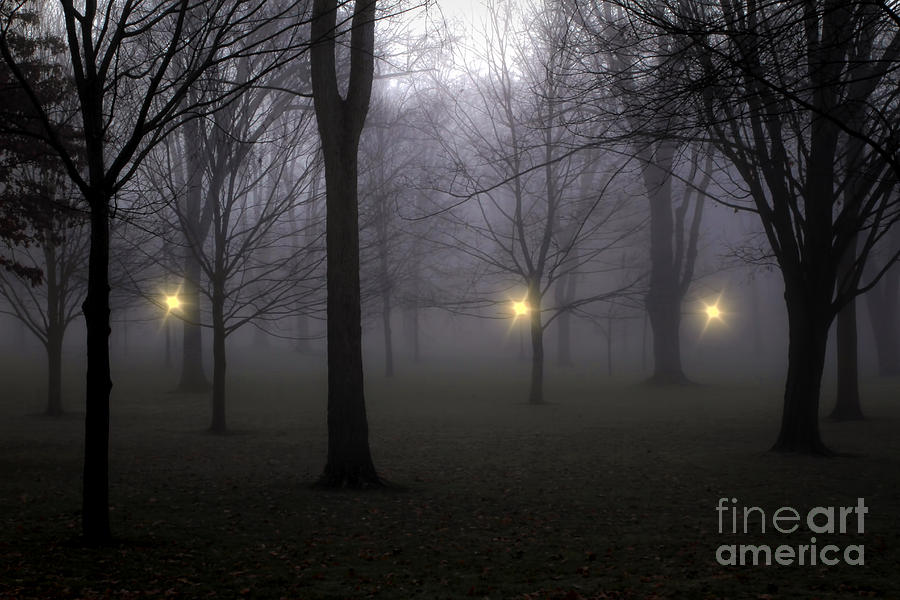 Street Lamps Photograph - My Third Eye by Brenda Giasson