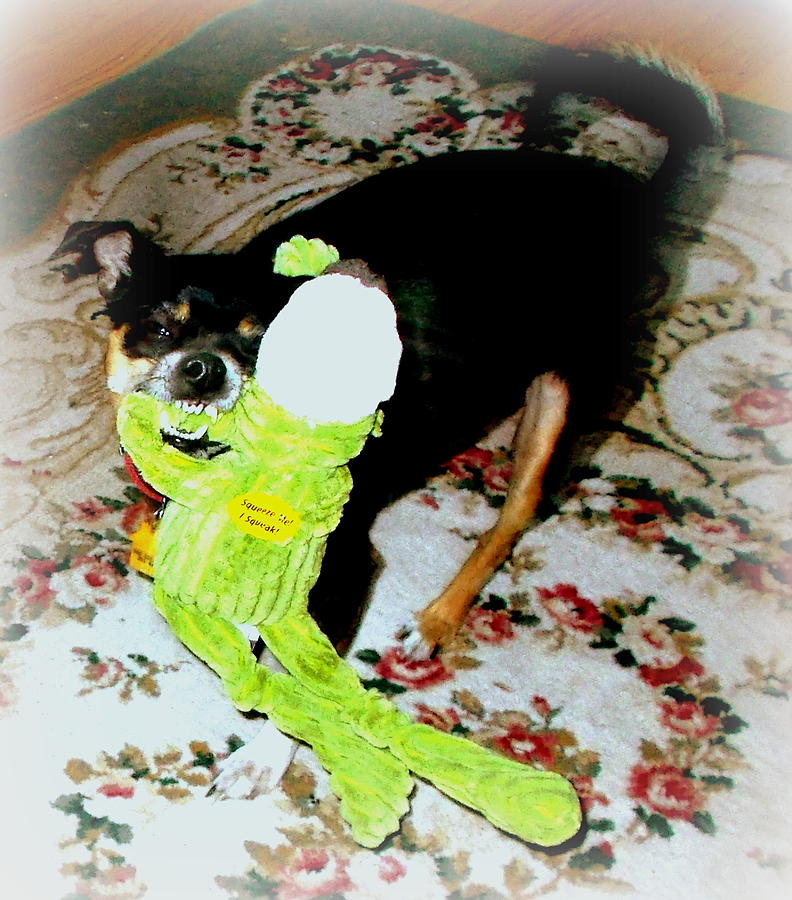 My Toy Photograph by Pamela Hyde Wilson