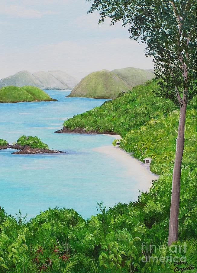 My Trunk Bay Painting by Valerie Carpenter