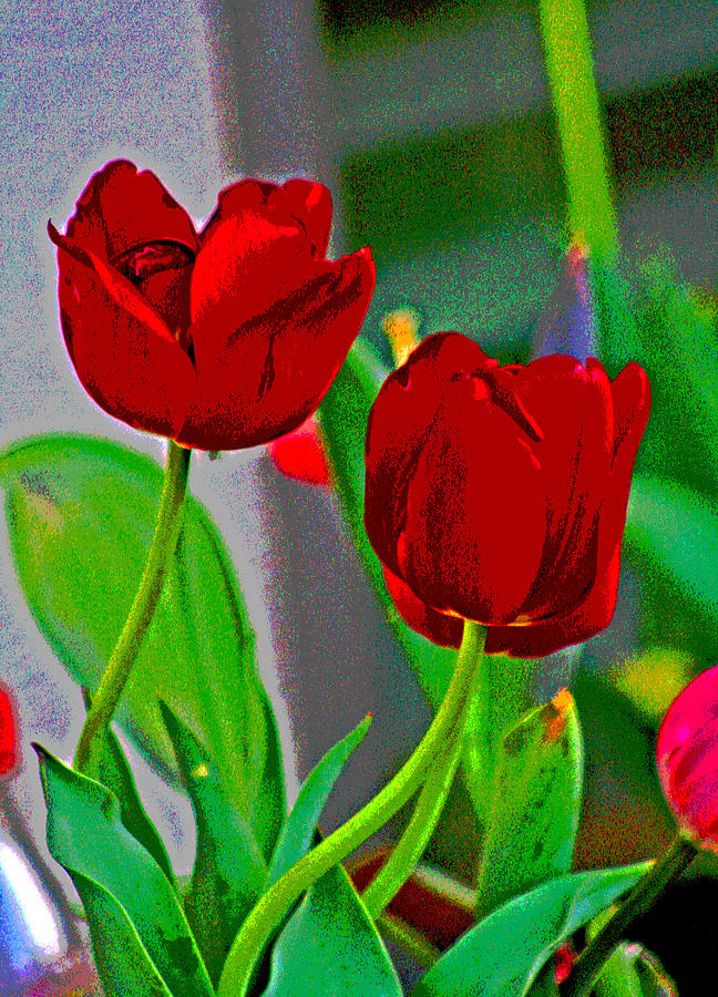Red Tulips  Digital Art by Joseph Coulombe