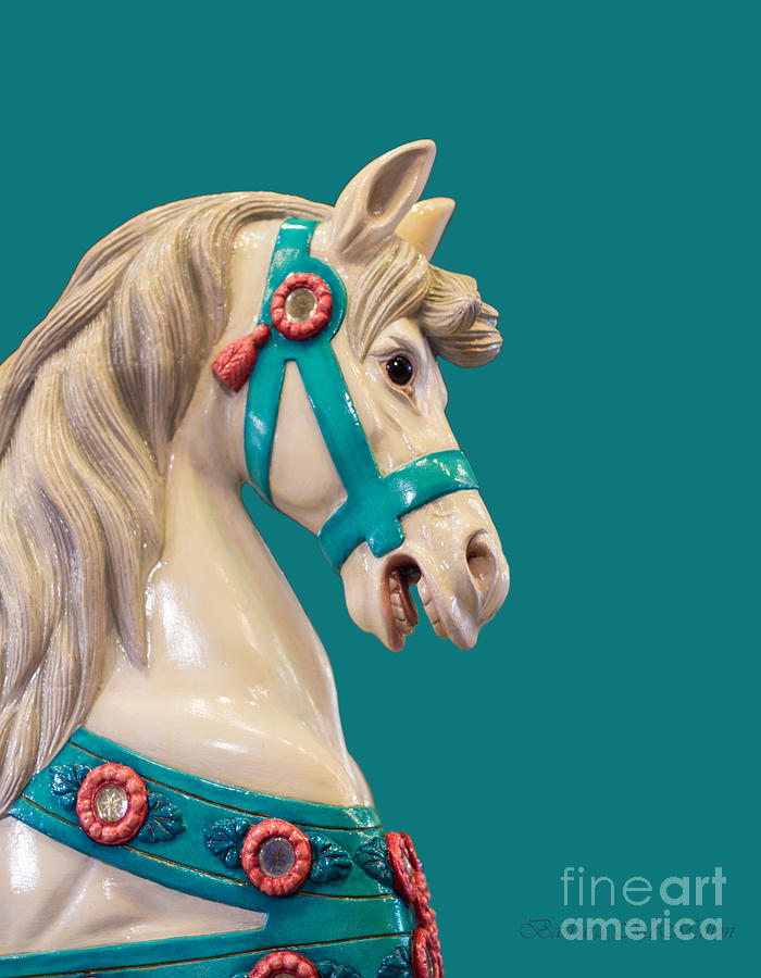 My Turquoise Pony Photograph by Barbara McMahon
