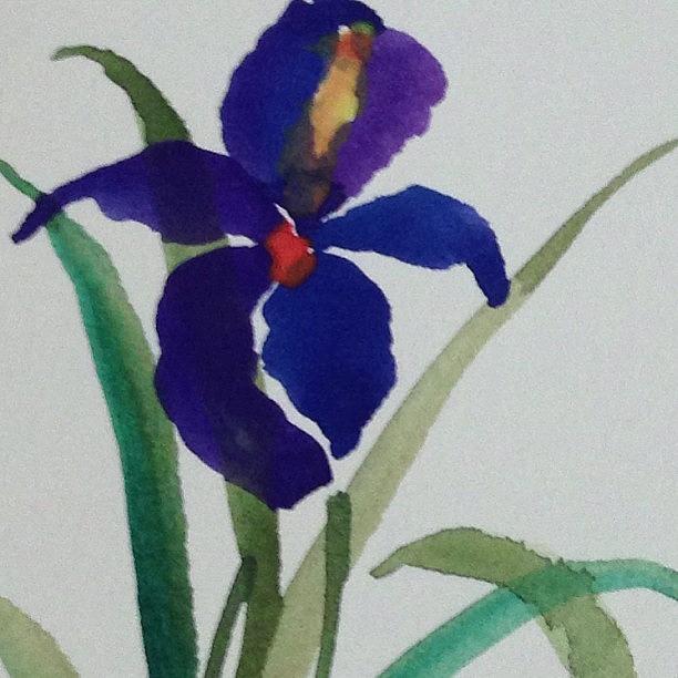 My Watercolor Iris Photograph by Elena Prikhodko knapp