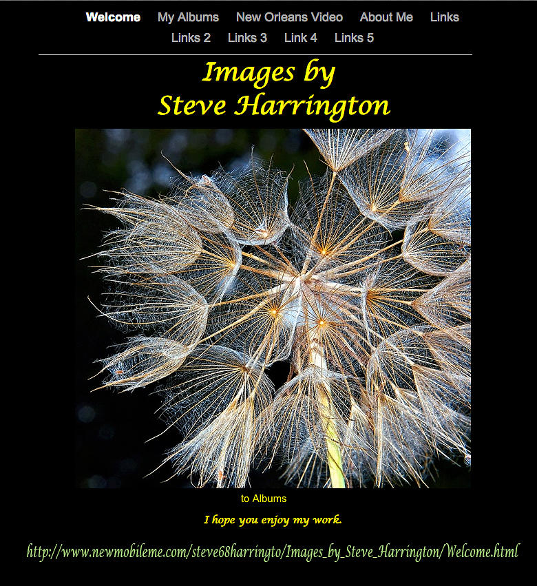 Website Photograph - My Website by Steve Harrington