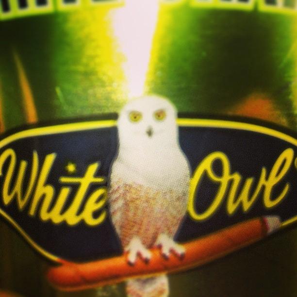 Outkast Photograph - My White Owls Are Burning Kind Of Slow by Zach Sampson