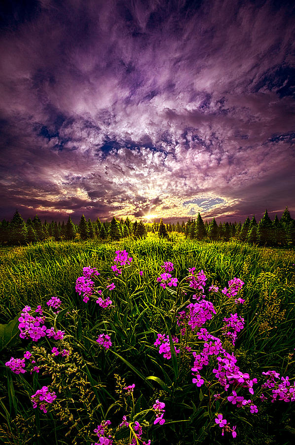 My Whole World Begins and Ends With You Photograph by Phil Koch