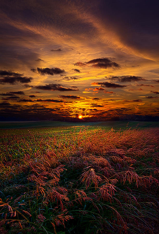 My Wish For You Photograph by Phil Koch