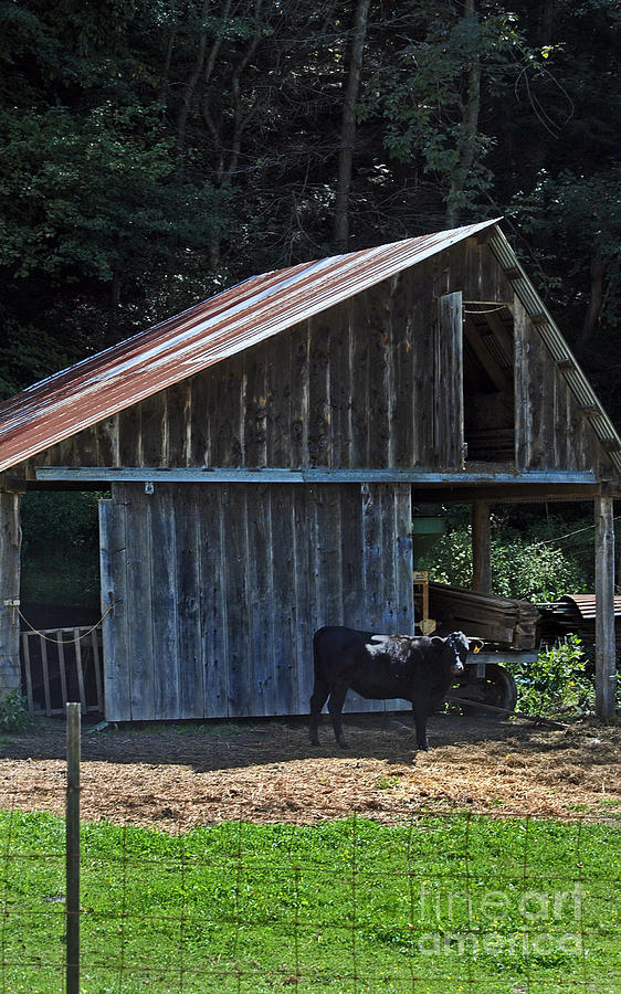 Barn Photograph - My Yard by Skip Willits