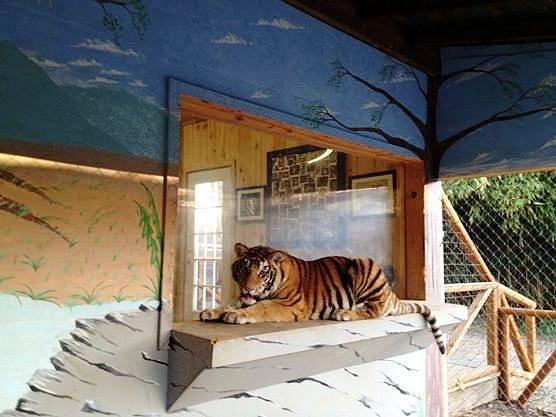My Zoo Mural Painting by Stacy C Bottoms