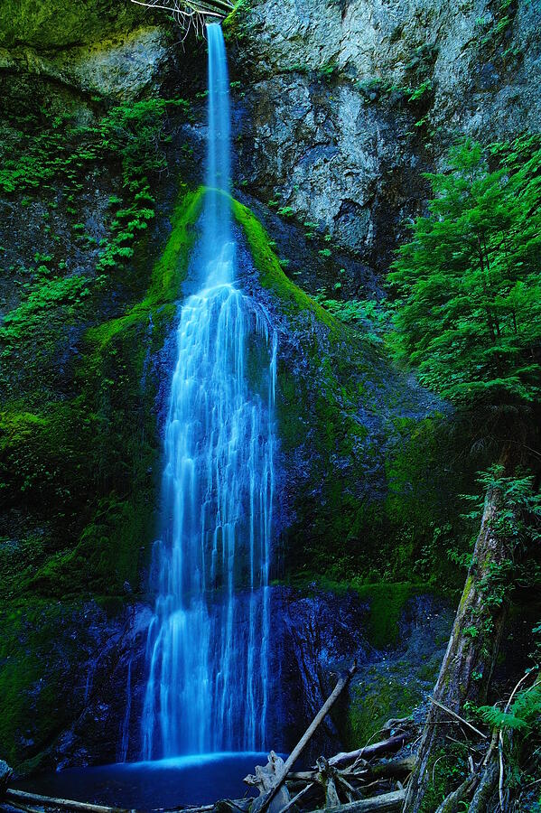 Olympic National Park Photograph - Myamere Falls  by Jeff Swan