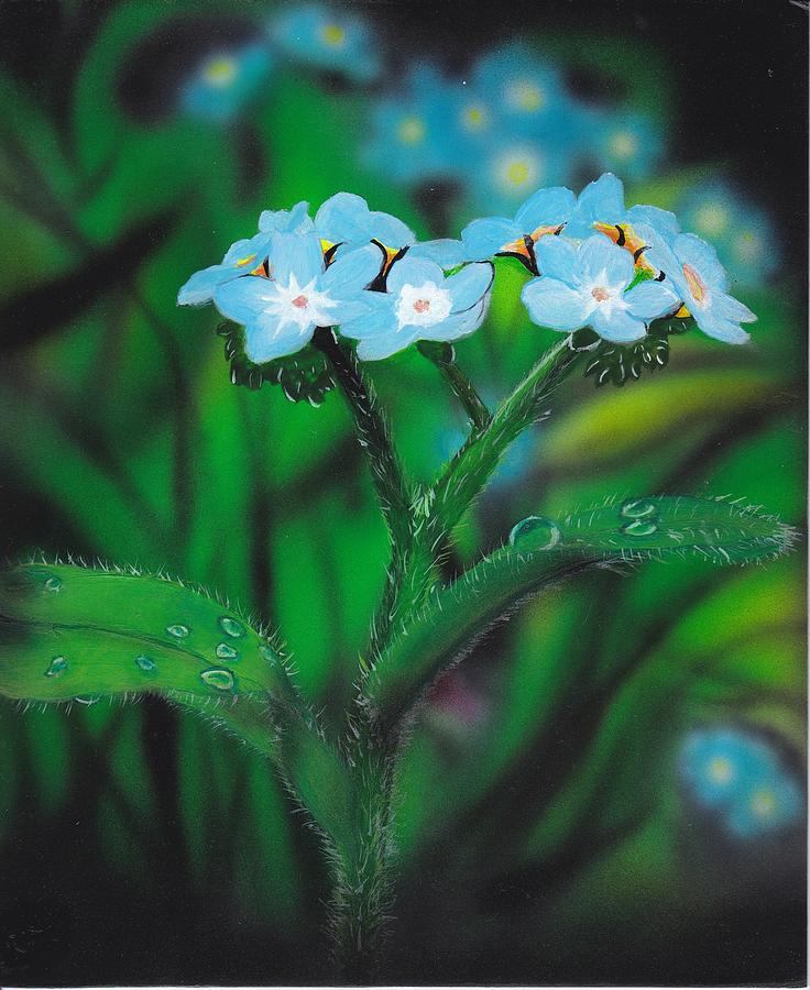 Flower Painting - Myosotis-sylvatica by Christopher Soeters