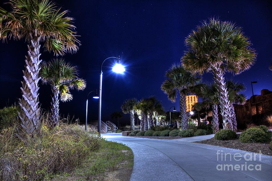 Myrtle Beach Palm Trees and Lights Photograph by Robert Loe