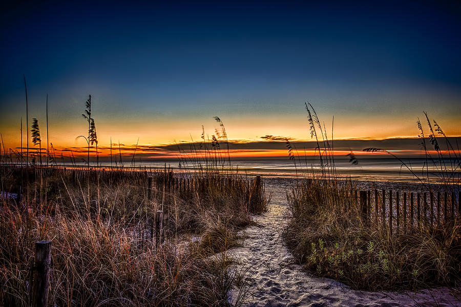 Myrtle beach path Photograph by Joshua Minso