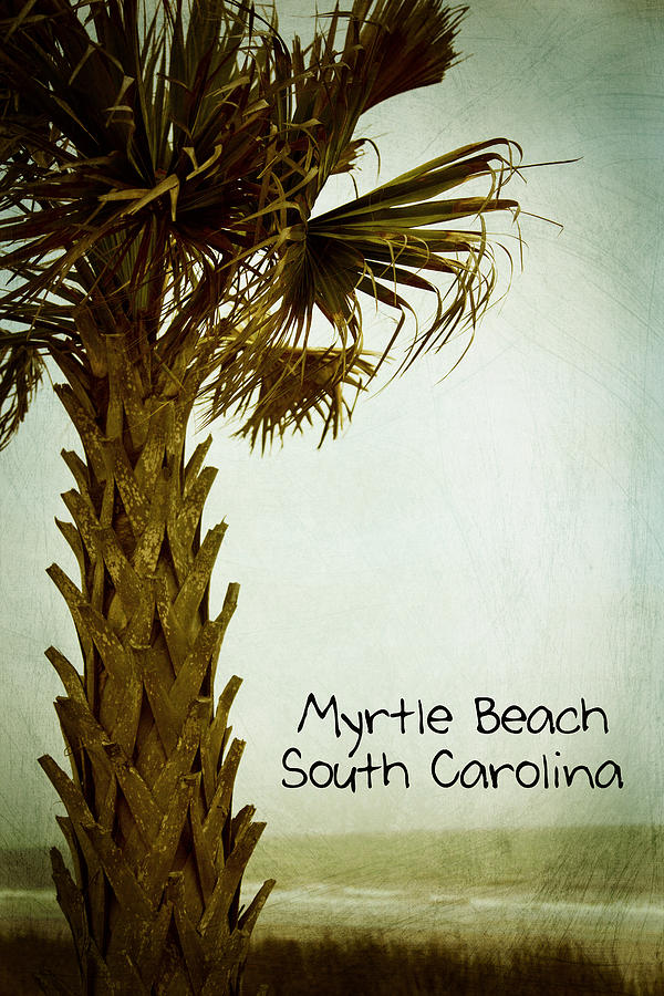 Myrtle Beach SC Photograph by Karol Livote