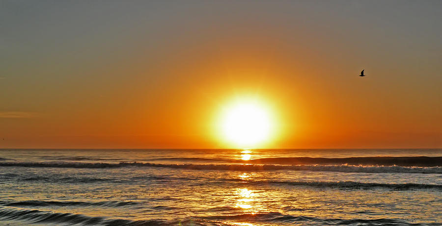Myrtle Beach Sunrise Photograph by Steven Michael