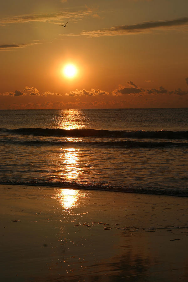 Beach Photograph - Myrtle Beach Sunrise by Valerie Tull