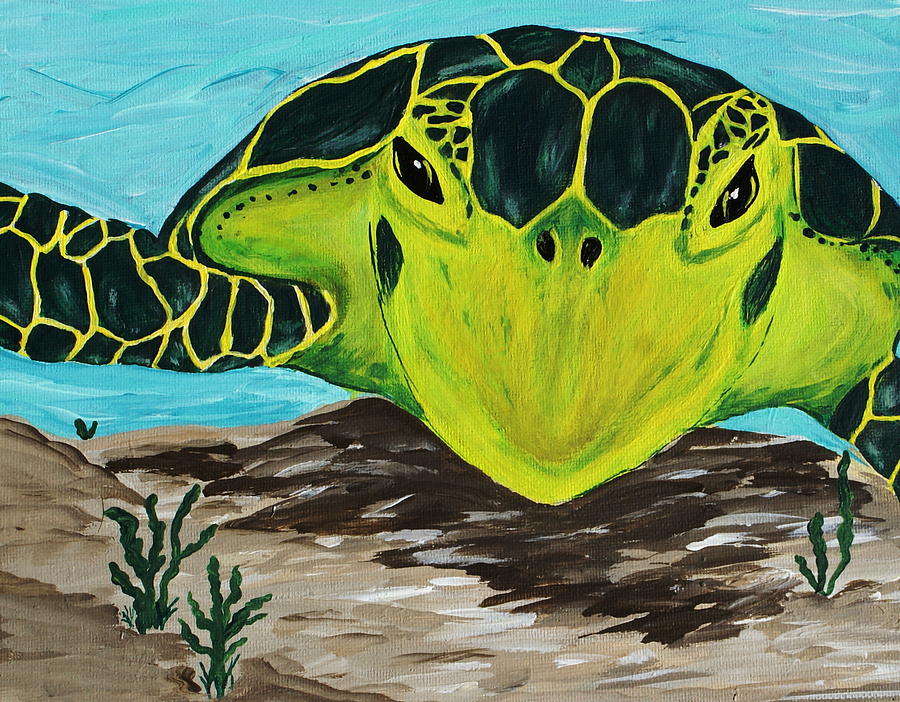 Turtle Painting - Myrtle by Debbie May
