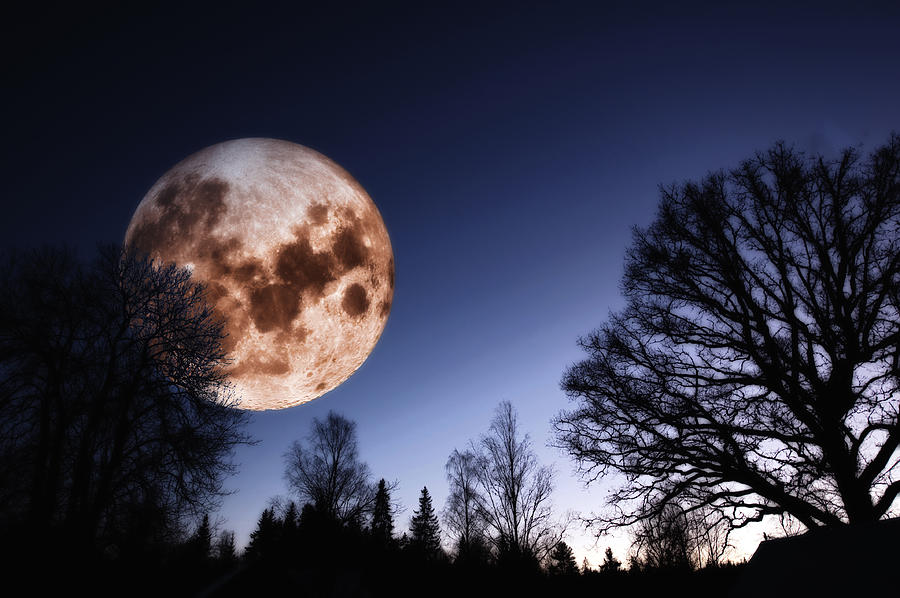 Mysterious Full Moon Rising Over Forest Photograph by Christian Lagereek