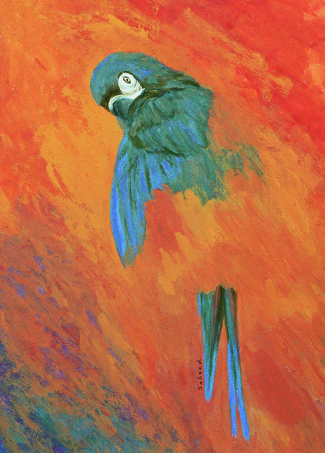 Mysterious Macaw Painting by Margaret Saheed