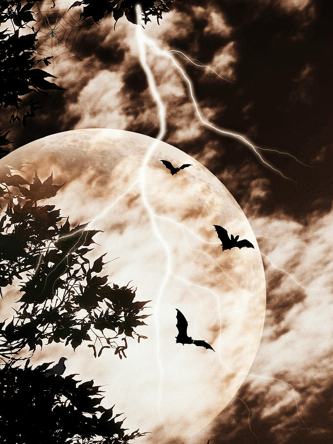 Halloween Digital Art - Mysterious Night by Dark Whimsy