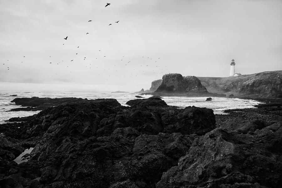 Mysterious Yaquina Head Photograph by Mark Kiver