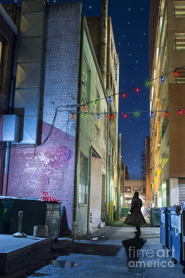 Mystery Alley Photograph by Juli Scalzi