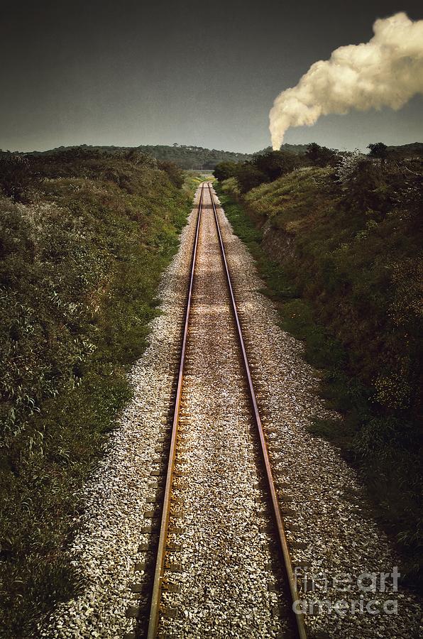 Mystery Train Photograph by Carlos Caetano
