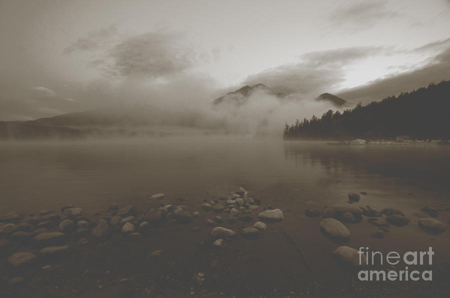 Landscape Photograph - Mystic Copper Morning  by Judy Grant