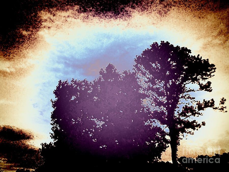 Tree Photograph - Mystic by Heather Taylor