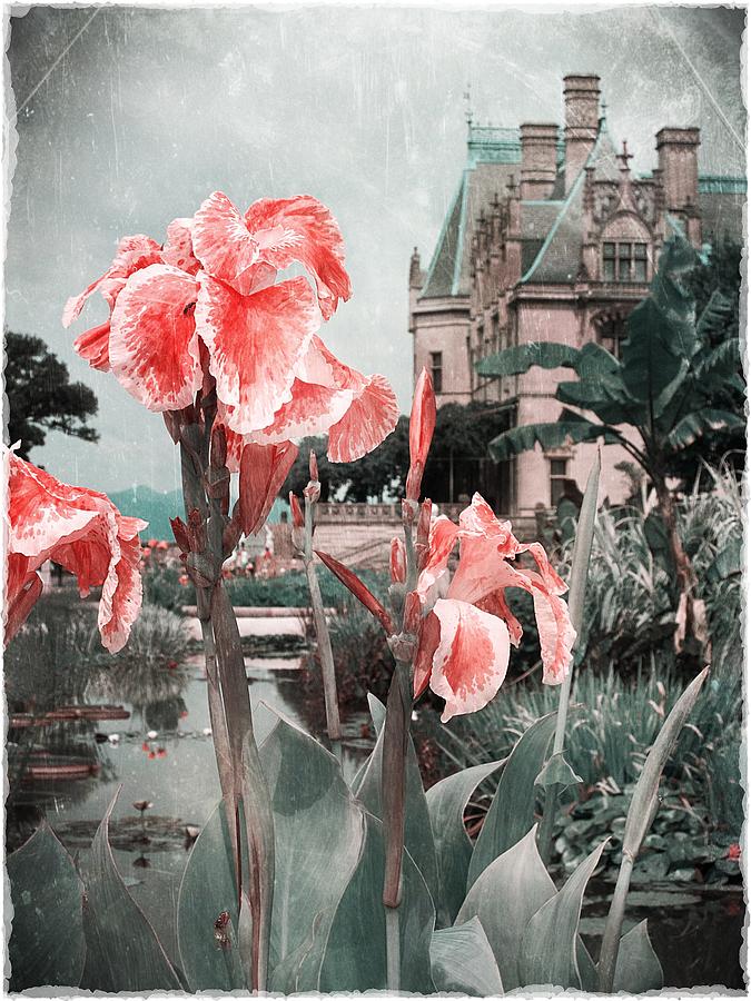 Mystic Iris Digital Art by Angel Pachkowski