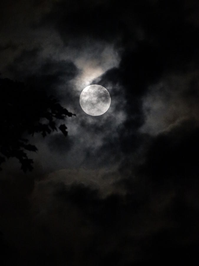 Mystic Moon Photograph