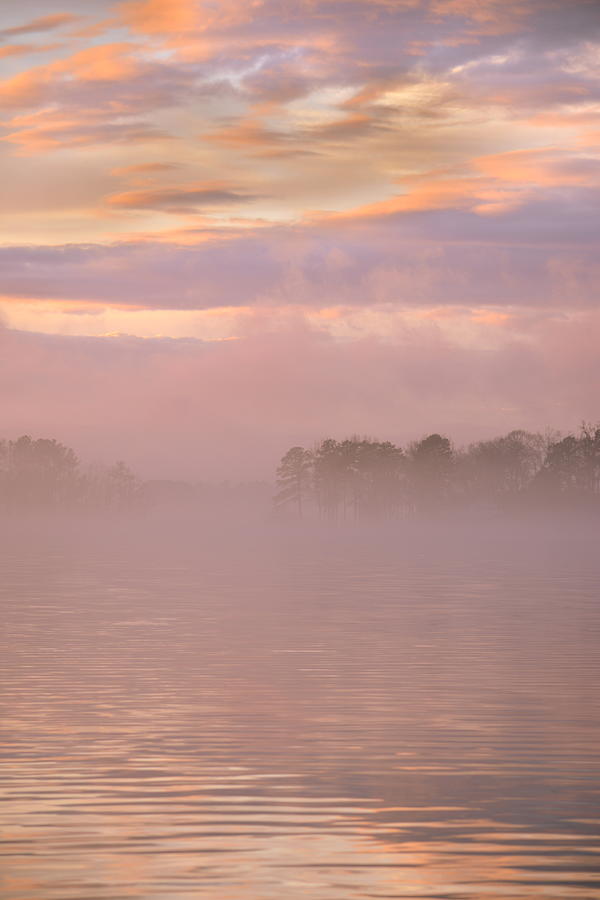 Sunset Photograph - Mystic Morning by Lisa Wooten