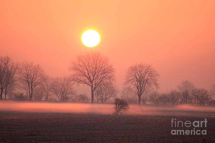 Mystic Red Sunrise Photograph
