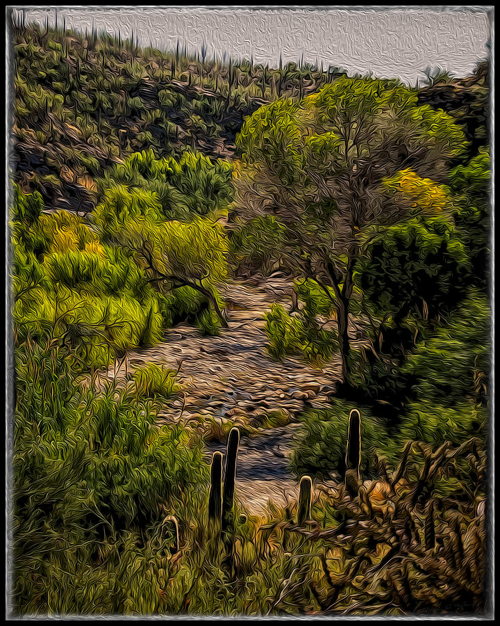 Tucson Photograph - Mystic Wandering by Mark Myhaver