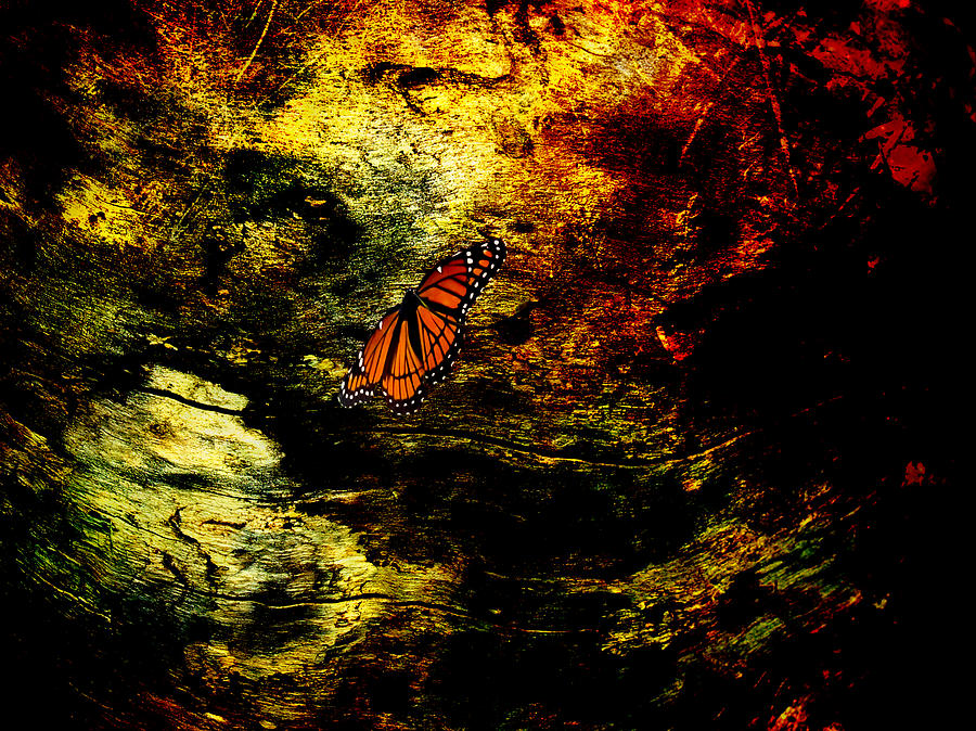 Mystical Butterfly Digital Art by J Larry Walker