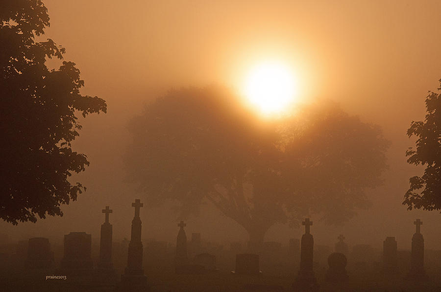 Mystical Fog Photograph by Patti Raine