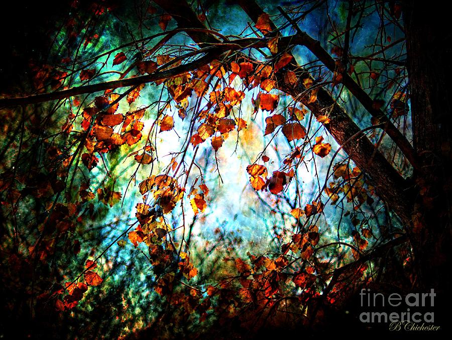 Mystical Forest - Barbara Chichester Painting by Barbara Chichester